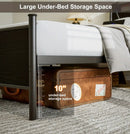 Modern Black Metal Bed Frame with Storage Headboard & LED Lights