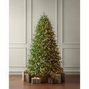 [Pre-order] Home Decorators Collection 7.5 ft SMART Grand Duchess Twinkling Balsam Fir LED Pre-Lit Tree T27 26LE31014 - The Home Depot