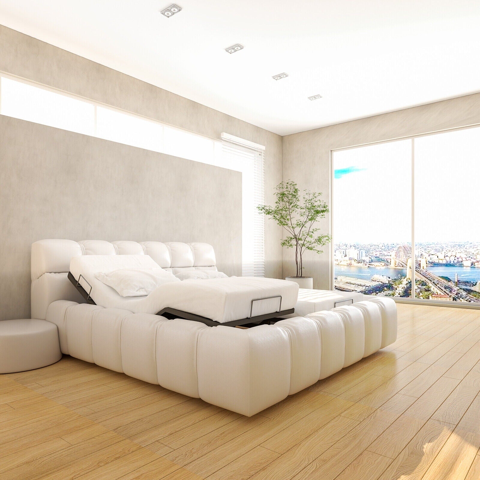 [Pre-order] FlexiSpot 3-Step Assembly Electric Queen Size Adjustable B